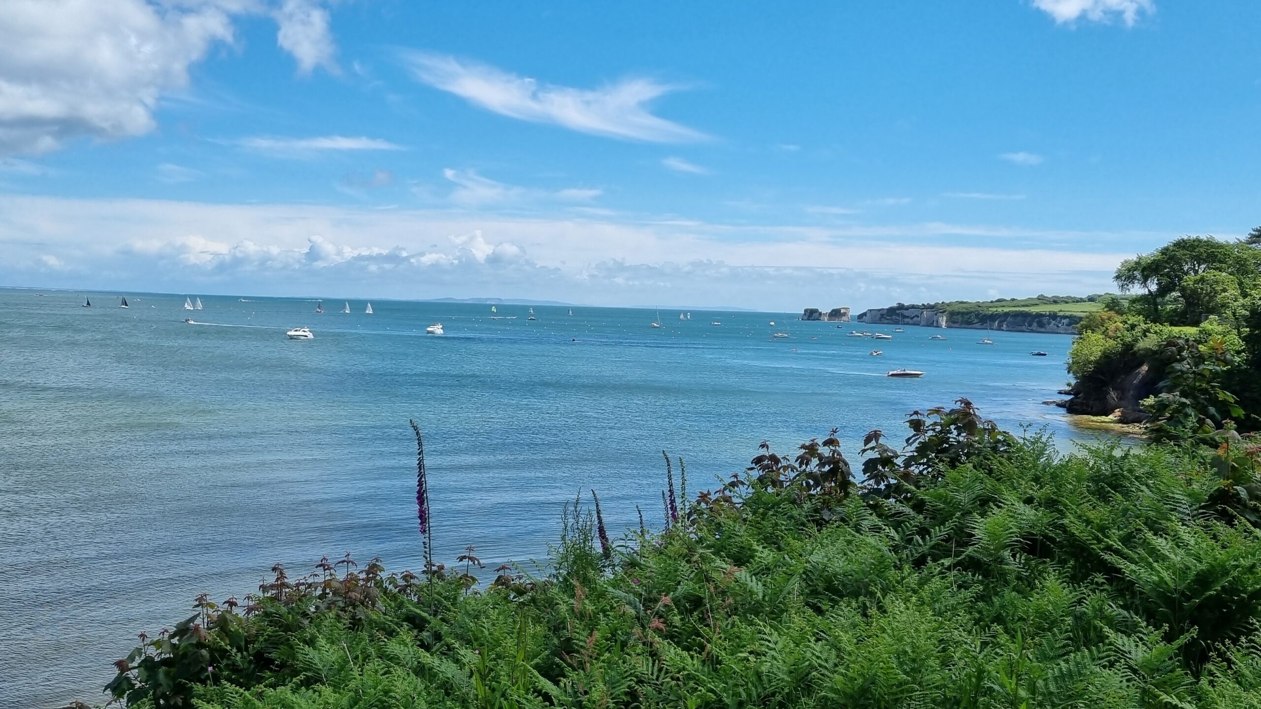 Wide view over Studland Bay with blue sea and sky and lots of white boats moored. Surrounded by lush green vegetation on the shoreline.