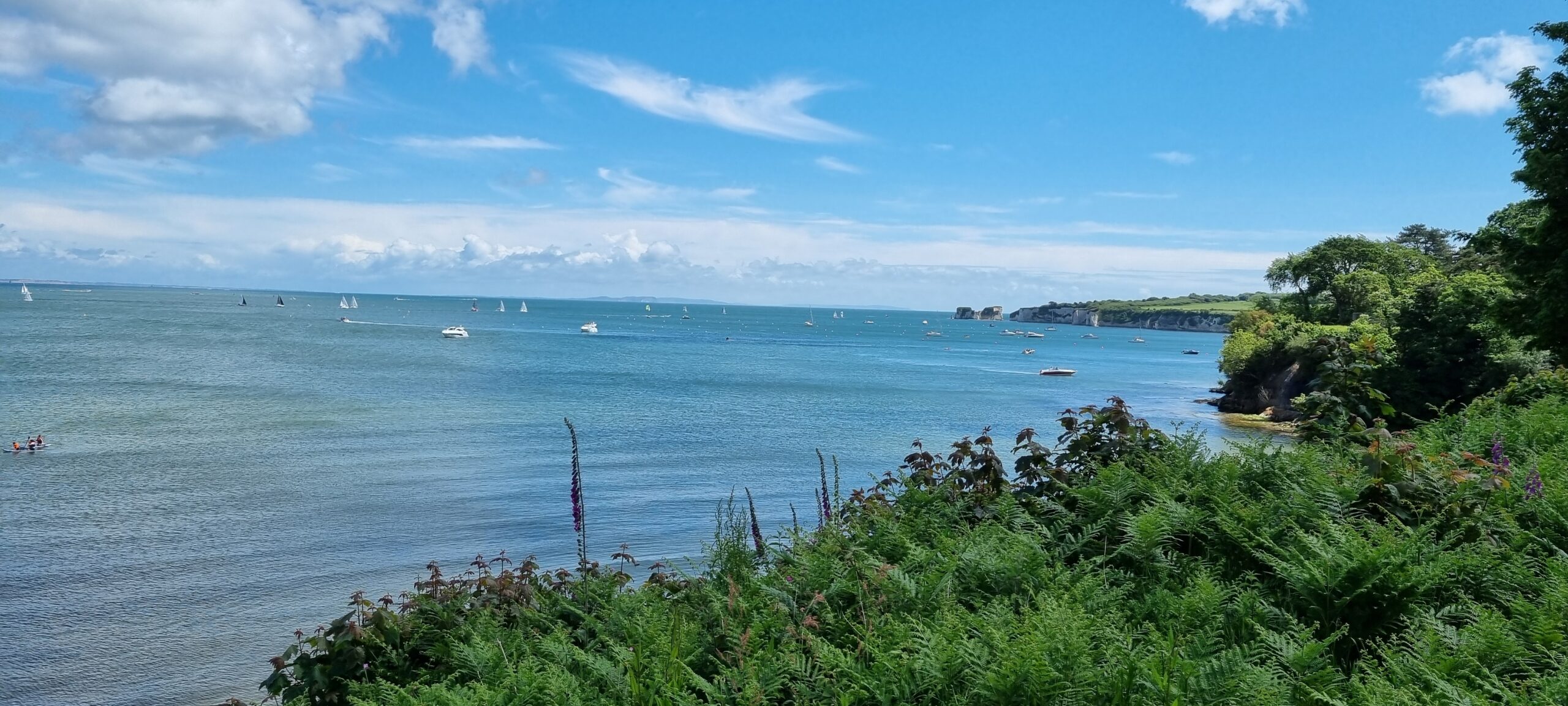 Wide view over Studland Bay with blue sea and sky and lots of white boats moored. Surrounded by lush green vegetation on the shoreline.