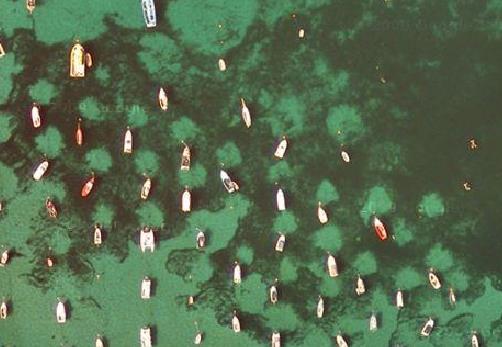Aerial view of boats anchored in a bay, clearly showing the scars in the seabed caused by anchors.