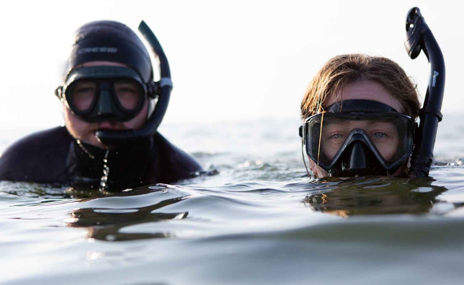 Two divers in the sea with masks on.