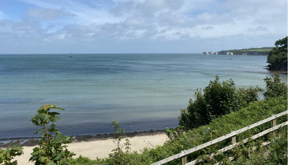 View of Studland Bay from Middle Beach June 2026