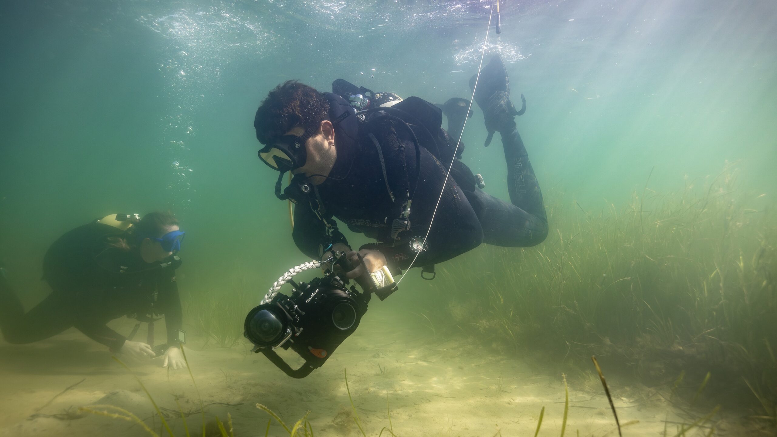 Diver underwater holding camera amidst seagrass